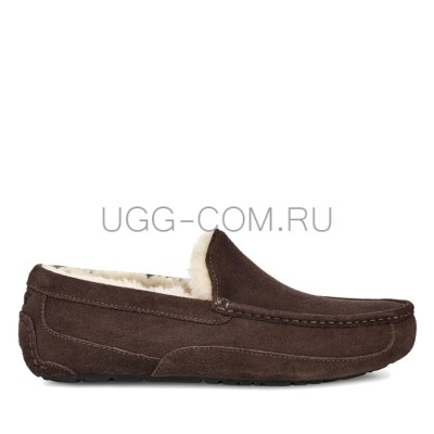 MENS Ascot Chocolate