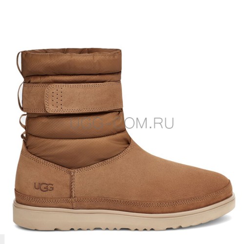 Classic Short Pull-On Weather Chestnut